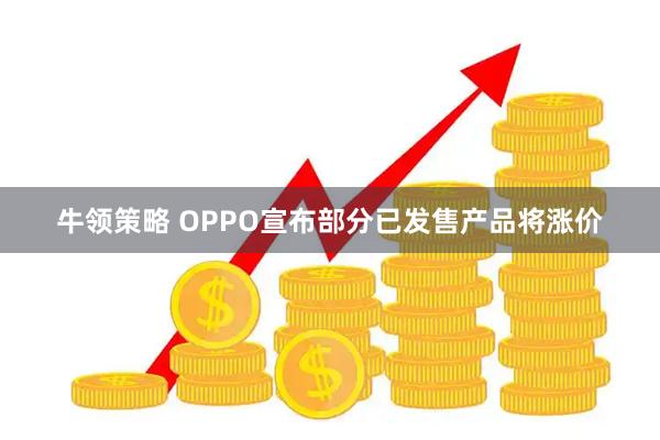 牛领策略 OPPO宣布部分已发售产品将涨价