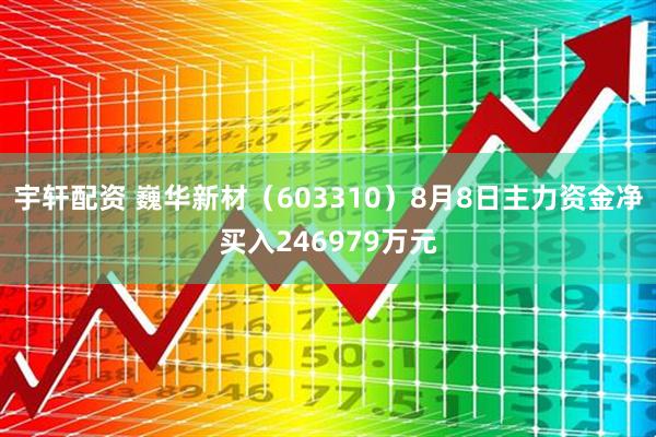 宇轩配资 巍华新材（603310）8月8日主力资金净买入246979万元