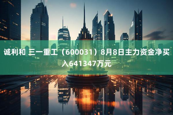诚利和 三一重工（600031）8月8日主力资金净买入641347万元