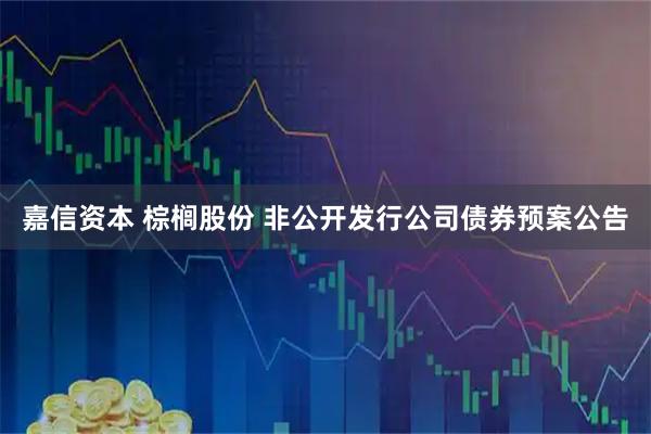 嘉信资本 棕榈股份 非公开发行公司债券预案公告